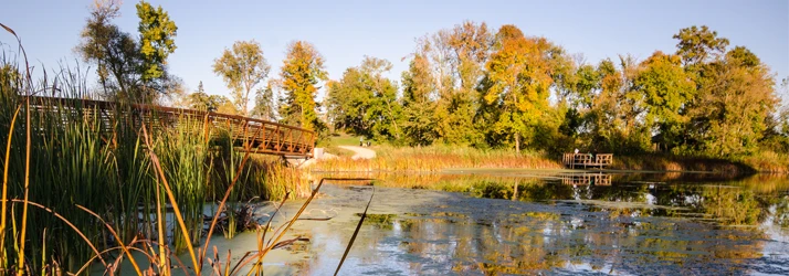 Helix Chiropractic & Sports Clinic in Vadnais Heights MN